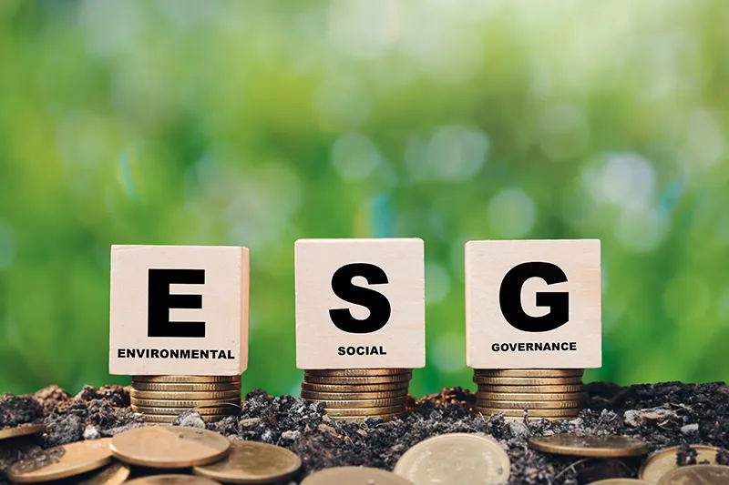 Gewinn und nachhaltiges Wachstum